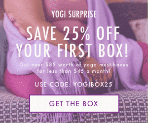 yogi surprise coupon